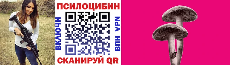 Псилоцибиновые грибы прущие грибы  Борзя 